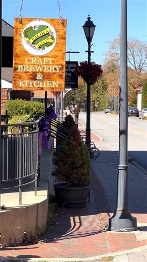 Hot Springs, VA: where luxury, nature, wellness, and relaxation come together in the most perfect way. ✨ This is the idyllic escape from city life; a place to slow down, breathe deeper, and truly enjoy your second home or vacation retreat. 🌿🧘‍♂️ And now, you can own your own slice of this paradise. We’re releasing some of our most stunning lots , up to 10 acres in size , on November 15th! Don’t miss the chance to claim your piece of Hot Springs. Call 980-444-2595 or DM us for more info! | Elev