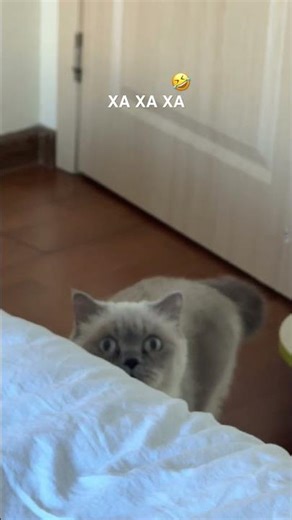 22 февраля 2026 г.