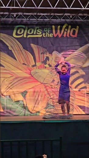 The Most Insane Hula Hoop Performance Ever