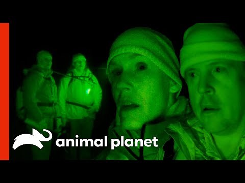 Ranae And Bobo's Eventful Night In The Olympic Peninsula | Finding Bigfoot