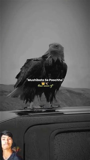 #Use the edit icon to pin, add or delete clips.