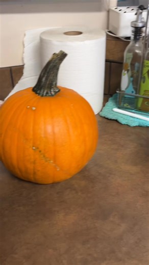 Making fresh roasted pumpkin purée #pumpkinseason #pumpkinpuree #freshlybaked | Allison Soto