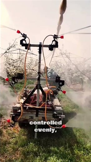 Modern Pest Control Spraying Technique in Plantation Farming #farming