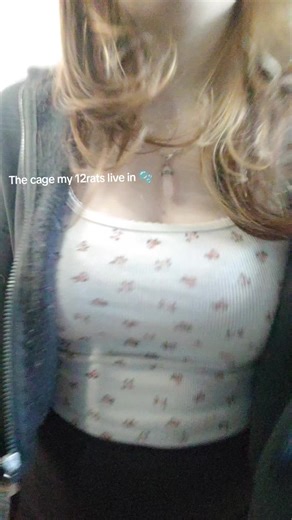 Exploring the Life of Pet Rats: Insights and Care Tips