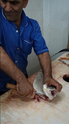 Filleting Fish ( TROUT ) Like a Pro — Knife Angles & Tricks