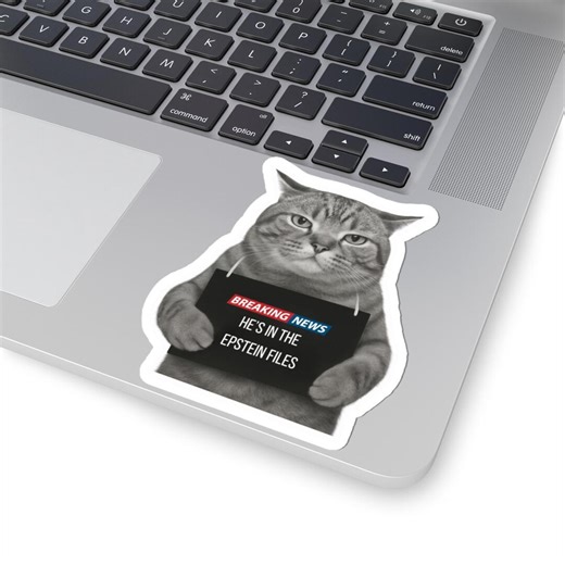 Funny Political Cat Meme Sticker, Anti Trump Humor - Etsy Canada