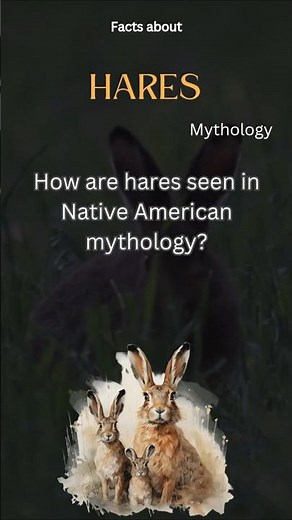 Hare Fact 17 - How are hares seen in Native American mythology?