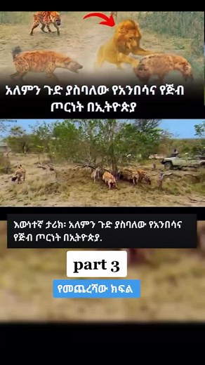 Lion and Hyena Interaction in Natural Habitat