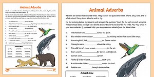 Animal Adverbs Worksheet for 3rd-5th Grade