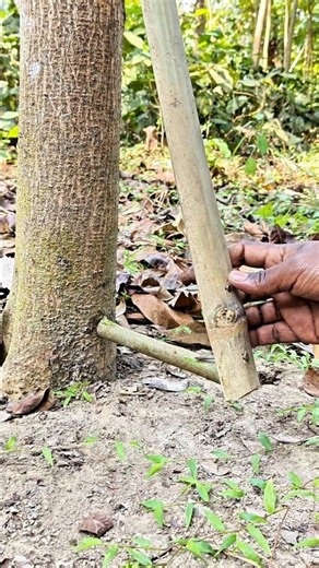 Traditional Hunting Techniques from the Past