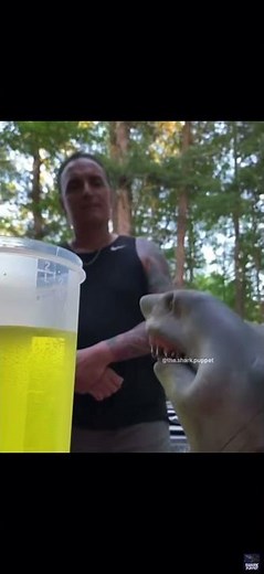 Shark puppet sells PEE lemonade
