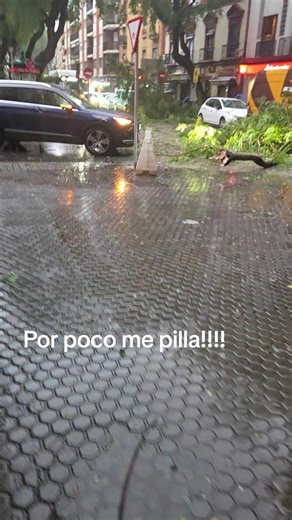 Por poco me pilla!!! #casimepilla #tragediaentriana #arbolcaido #ramascaidas @Emergencias Sevilla @Ayuntamiento de Sevilla