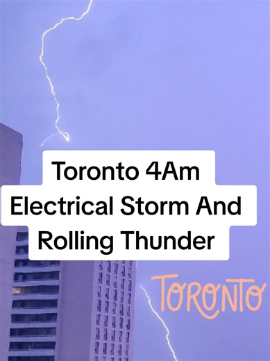 catniptoronto on TikTok