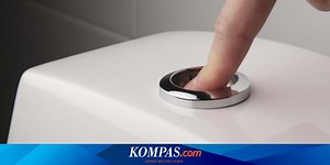 Tak Banyak yang Tahu, Ini Fungsi 2 Tombol Flush di Kloset Duduk