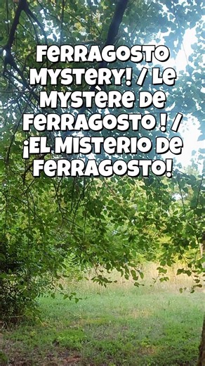 Ferragosto in Italy #learnitalian #italianculture #ferragosto