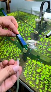 Most Fantastic Aquaristic Decor #fishaquarium #aquariumfishtank #fishtanksetup #trending #fish #diy #fyp #reels #viral | Aquatic Wonders Hub