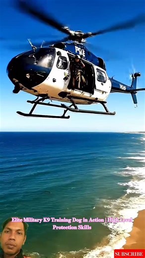 Elite Military K9 Training Dog in Action | High Level Protection Skills #policek9 #workingdogs #k9