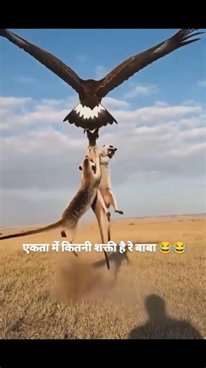 How much power is there in unity? #funny