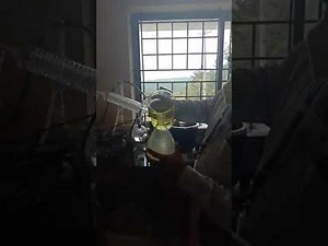 Solvent extraction of jasmine oil using rotary evaporator