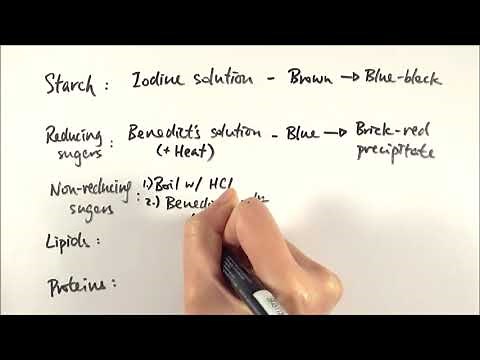 AS Biology - Tests for biological molecules (OCR A Chapter 3.4-7)