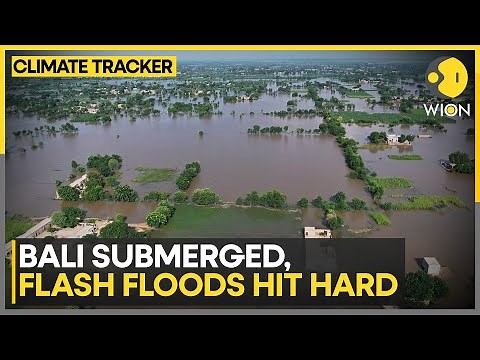 Bali Floods: Heavy Rains Flood Denpasar & Jembrana | WION Climate Tracker