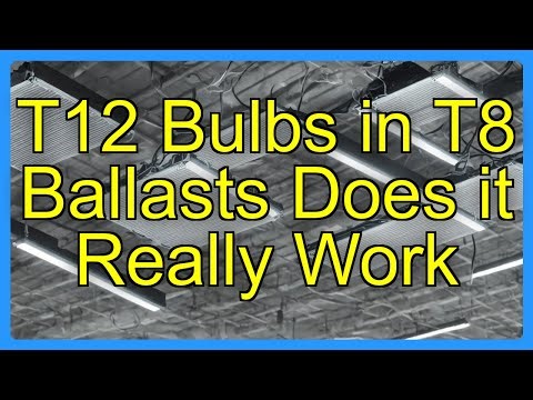 T12 Bulbs in T8 Ballasts Does it Really Work