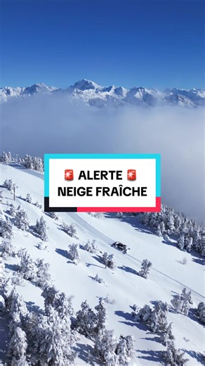 ❄️ INTERRUPTION MOMENTANÉE DES PROGRAMMES ❄️ Il a neigé fort dans le Champsaur Valgaudemar et à la station de Laye. Vous attendiez le 1er épisode… impossible de ne pas partager ce réveil sous la neige. Les équipes travaillent dur pour ouvrir et sécuriser le domaine 💪 Au programme : ✅ Ski débutant ou confirmé ✅ Ski de rando ✅ Luge • Tubing • Big Air ✅ Terrasse au soleil au Petit Renard & à la Maison de l’Aiguille 🎿 Location de matériel sur place chez Latitude 44 (ski de rando & splitboard égale