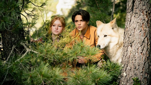 Woodwalkers 2