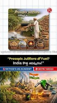 “Prosopis Juliflora తో Fuel? India కొత్త ఆవిష్కరణ!GS Foundation course|Rathods IAS Academy|UPSC IAS