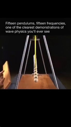 education on Instagram: "This setup uses 15 pendulums, each with a slightly different length, so each swings at a different frequency. When released together, they start in sync but slowly drift apart, creating beautiful wave-like patterns. This happens because their frequencies interfere with each other, just like real waves do. After some time, the patterns repeat and the pendulums line up again, clearly showing the principles of wave superposition and interference. . . . . #explore #science #