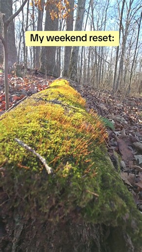 Weekend in the woods > busy work week #kentuckylake #kylake #landbetweenthelakes #lbl #hiking