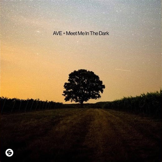 Meet Me In The Dark (Preview)