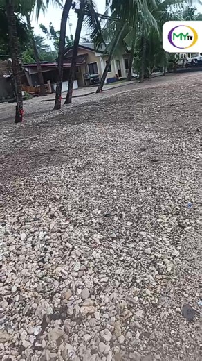 LIVE: Weather update from Barangay Macaas, Catmon, this Sunday, January 4, 2026. Heavy rains continue to affect several areas in Cebu due to a Shear Line. The province is currently under a Yellow Heavy Rainfall Warning, with flooding possible in low-lying areas and landslides in mountainous locations. | Joel Noel #MyTVCebu #MyTVNewsUpdate #HeavyRainfallWarning #CebuWeather | MyTV Cebu