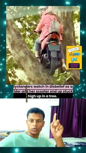 Bike climb on tree 😱😺✨ #youtubeshorts #funny #shortsfeed