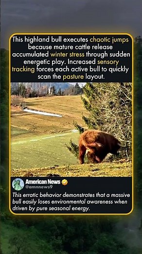 LIVESTOCK SEASONAL ENERGY RELEASE