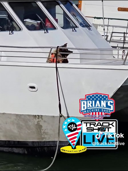 Track Shot Live: America's Favorite Livestream - Demolition Derby Fun in California