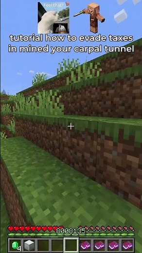 tax evasion tutorial in minecraft 🤑