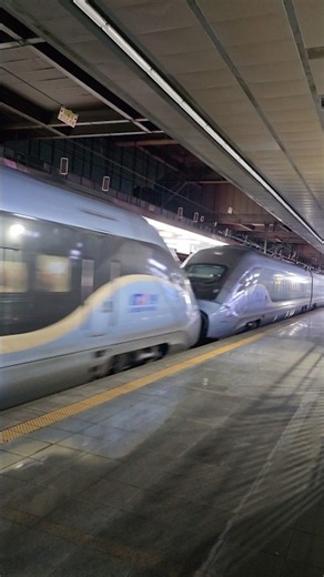 KTX-청룡 중련(16량)에 새마을호까지?! 3대 기차가 쉴 새 없이 몰아치는 용산역 역대급 철도 라인업 🚄💥 ​#KTX청룡 #KTX청룡중련 #ITX새마을 #새마을호 #혼자서여행
