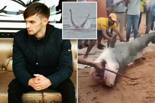 Shark captured and clubbed to death after killing man in Egypt