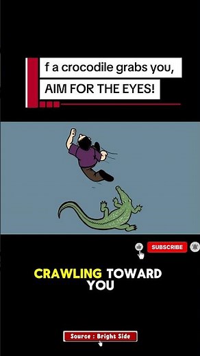 How to Escape Alligator and Crocodile Attacks: Aim for the Eyes!