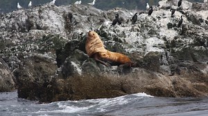 Deception Pass Tours on Reels