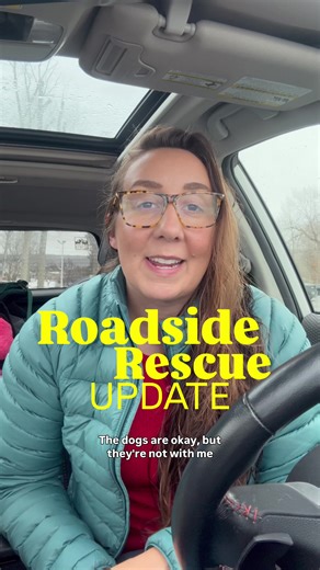 The dogs are okay. I bought food, collars, leashes, and got an @airbnb to rest for the night. I got 3 hours of sleep and woke up crying as the weight of it all fell heavy on my heart. We left at 5am and didn’t arrive in Ohio until 8pm. I decided to drive straight through to Ohio because I knew that’s where I could get the best help: a comfortable place to stay for the night and friends who could step in and help carry some of this responsibility with me. In the morning, I called vets, shelters, 