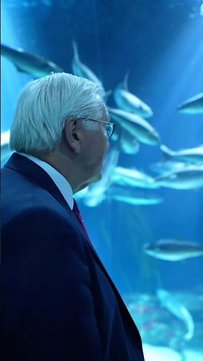 Die Unterwasserwelt im Ozeaneum #stralsund #bundespräsident