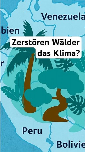 Zerstören Wälder das Klima? #quarks #klimawandel #wald