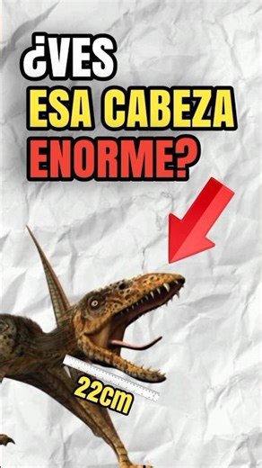 The TRUTH about the DIMORPHODON'S HEAD ✅