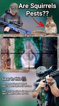 Are Squirrels Peats? Part 1