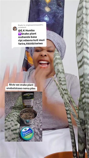 How to Propagate and Care for Snake Plant (Muto we Snake Plant)