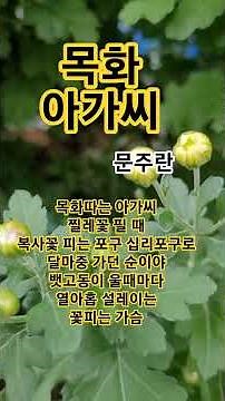 목화 아가씨 #문주란#남진#트로트#1972남진ㆍ최고히트인기애창곡