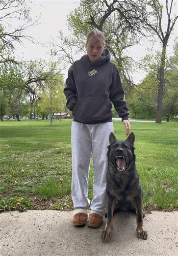 Understanding Human Nature in Dog Training