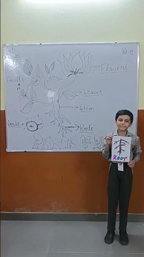 Parts of a Plant | Fun Learning Activity by Students